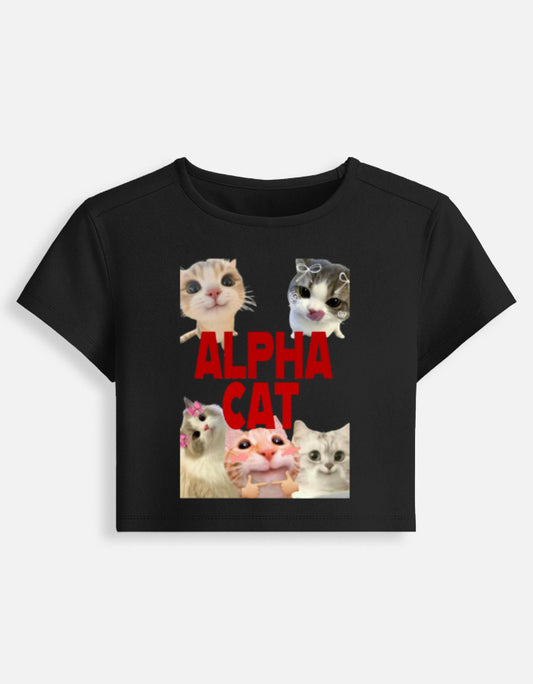 Front_1_c_2.jpg